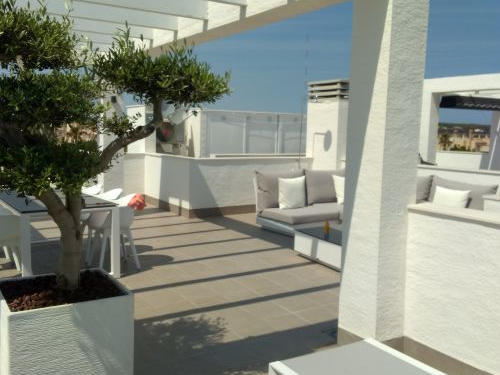 Het dakterras met olijfboom en loungehoek